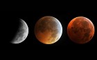 This combo of pictures taken in Manassas, Virginia shows the moon in different stages of a total lunar eclipse